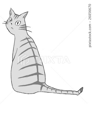 Brown cat (non-transparent) 26856670