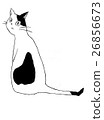 Cat (black and white) 26856673