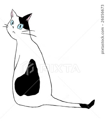 Cat (black and white) 26856673