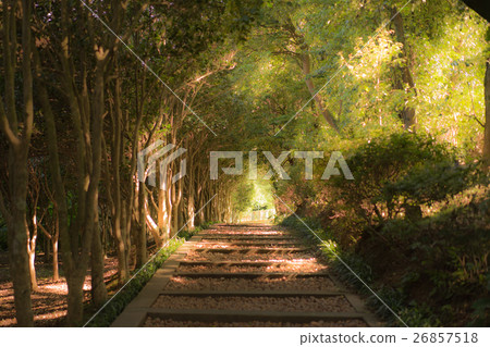 Shimmering deep, Toshiki Yoshiki 26857518