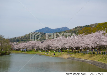 Hojyo Oike Tsukuba和Sakura（茨城縣筑波市） 26857593