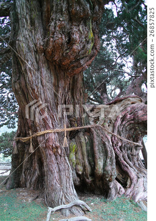 小豆島Hoshoin的Shinpaku 26857825