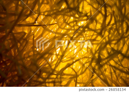 Cushioning material 26858134