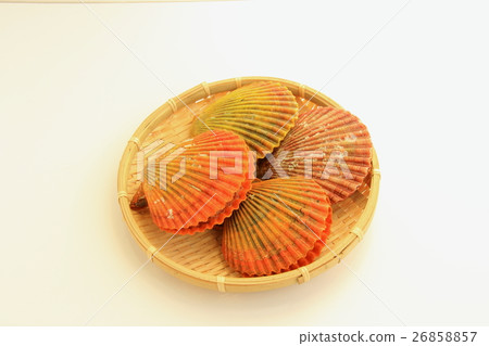 Hibiscus Hibiscus 26858857