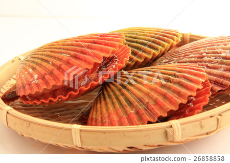 Hibiscus Hibiscus 26858858