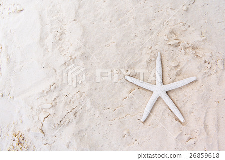 Starfish Sand Summer Holiday Vacation Beach Concept Starfish Sand Summer Holiday Vacation Beach Concept 26859618