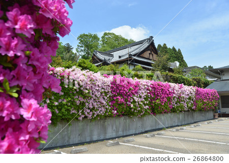 Saikyoji Saikyoji 26864800