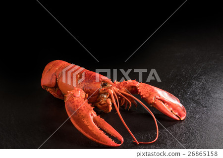 最好的龍蝦優質龍蝦 26865158