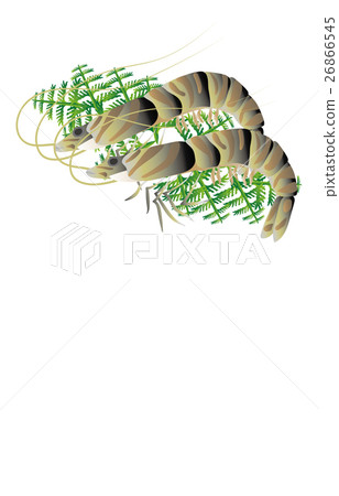 車蝦 車蝦 26866545