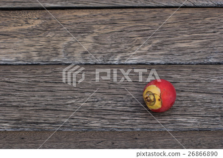 palm fruit on lath 26866890