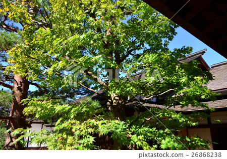 Hida Takayama Jinya（2016.10） 26868238
