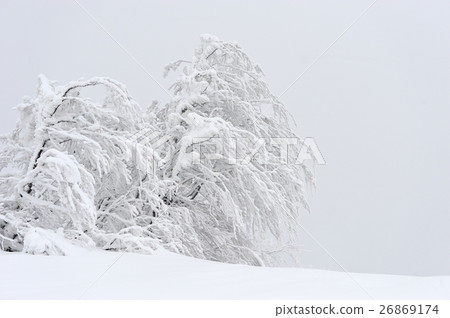 Winter landscape 26869174