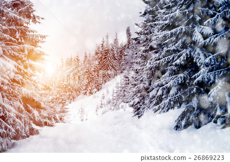 Winter landscape Winter landscape 26869223