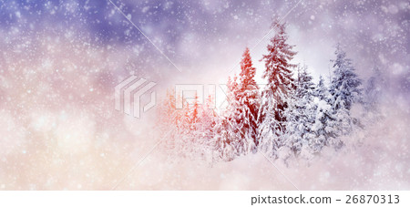 Winter background with snowy trees and snowflakes 26870313