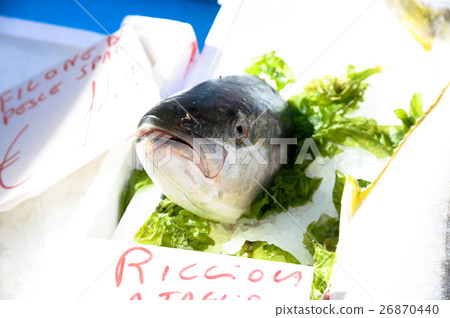 Ricciola in market 26870440