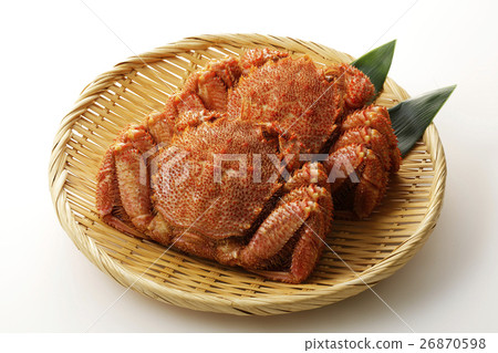 發蟹 26870598