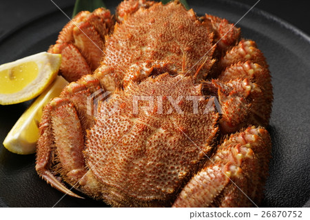 發蟹 發蟹 26870752