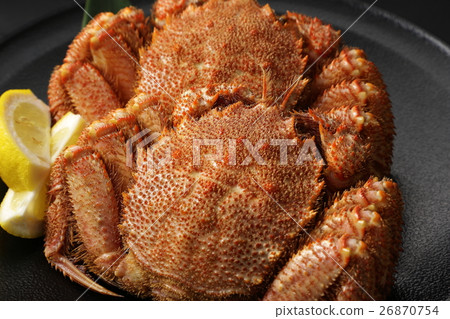 發蟹 發蟹 26870754