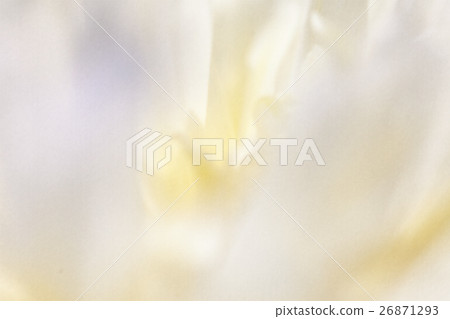 Colorful flowers in soft color and blur style for Colorful flowers in soft color and blur style for 26871293