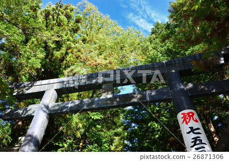 Nagano Suwa Shrine Shita Shosha Akitomi Torii (2016.10) Nagano Suwa Shrine Shita Shosha Akitomi Torii (2016.10) 26871306