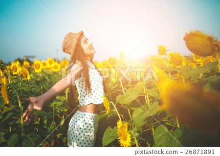 beautiful girl in field of sunflowers beautiful girl in field of sunflowers 26871891