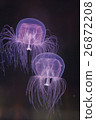 Jellyfish 8 26872208