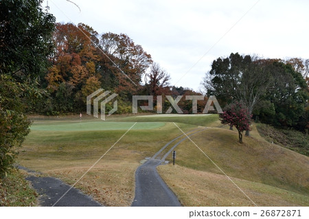 Golf course Golf course 26872871