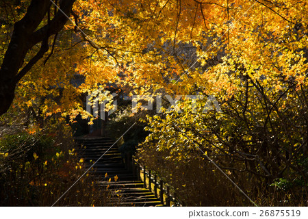 Kita Kamakura Aketsukinin秋葉 Kita Kamakura Aketsukinin秋葉 26875519