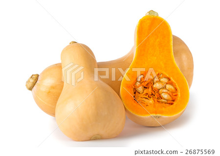 黃油堅果南瓜 黃油堅果南瓜 26875569