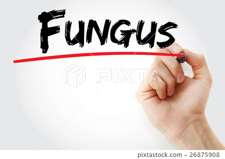 Hand writing Fungus with marker Hand writing Fungus with marker 26875908