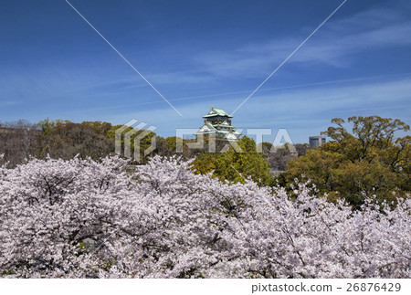 Osaka Castle in spring, Osaka Castle Park in full bloom, Osaka tourist attractions 26876429