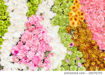 Multi-coloured of flower Multi-coloured of flower 26876705