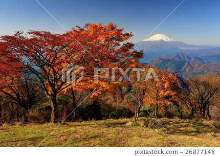 View of autumnal leaves and Mt. Fuji at Tanzawa · Nabeyama mountain peak 26877145