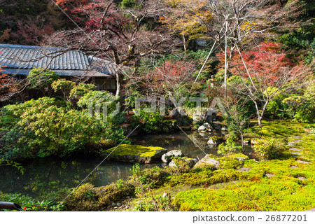 京都Miyakoderain在秋天 京都Miyakoderain在秋天 26877201