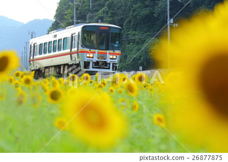 Sunflower train 26877875