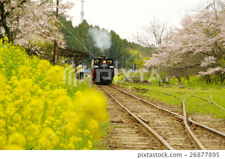 Kominato鐵路卡車火車 Kominato鐵路卡車火車 26877895