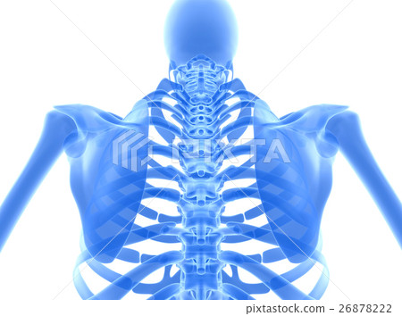 3D illustration of shiny blue skeleton system. 3D illustration of shiny blue skeleton system. 26878222