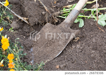 Shovel in the ground 26878386