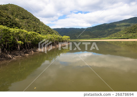 西表島納拉河紅樹林 西表島納拉河紅樹林 26878694
