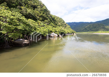 西表島納拉河紅樹林 西表島納拉河紅樹林 26878698