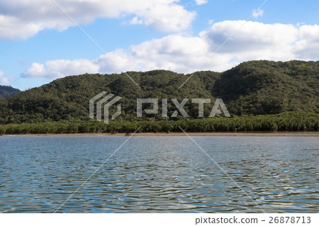 西表島納拉河紅樹林 西表島納拉河紅樹林 26878713