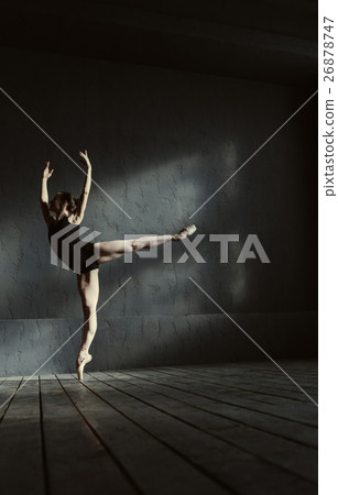 Elegant ballet dancer standing on the tiptoe in Elegant ballet dancer standing on the tiptoe in 26878747