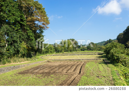 Autumn countryside Autumn countryside 26880288
