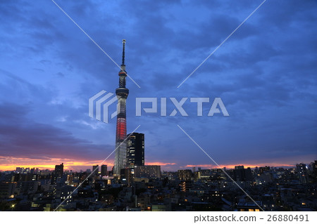 Sky tree  26880491
