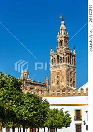 View of Seville Cathedral - Andalusia, Spain View of Seville Cathedral - Andalusia, Spain 26882835