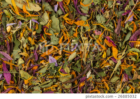 Dried herbal tea leaves Dried herbal tea leaves 26885032