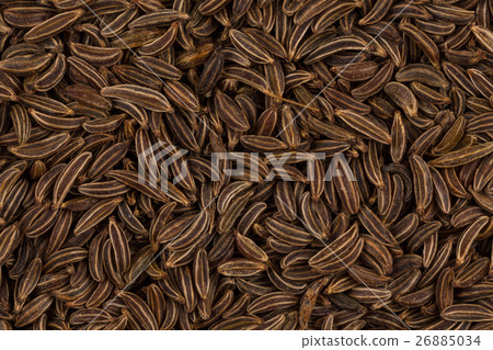 Close up caraway seeds Close up caraway seeds 26885034