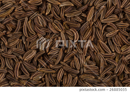 Close up caraway seeds 26885035