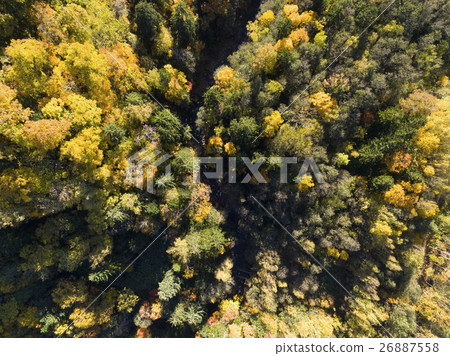 Aerial shooting of the autumn forest (true bird's eye view) 26887558
