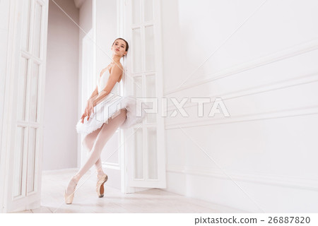 Professional classical dancer standing on tiptoes Professional classical dancer standing on tiptoes 26887820
